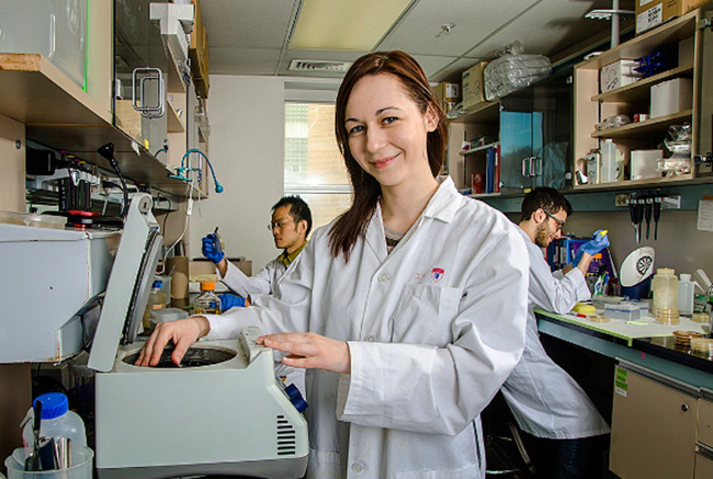 Dr. Vedrana Cvetkovska