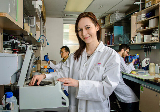 Dr. Vedrana Cvetkovska